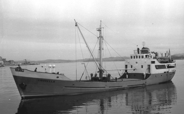 Cigorella por T. Diedrich Cigorella por T. Diedrich